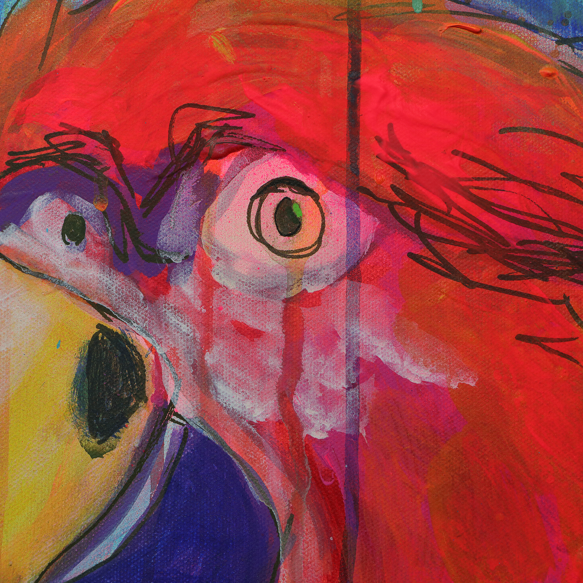 Detail XL Wand Gemaelde Bild Vogel Papagei neon rot blau abstrakt Tier Ara Portraet Art