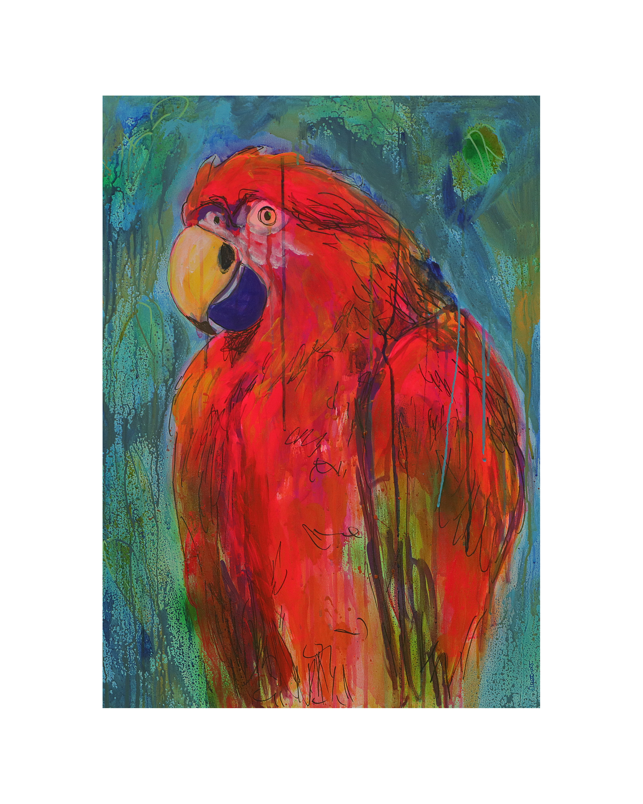 Papagei - 80 x 60 cm - 50 Euro