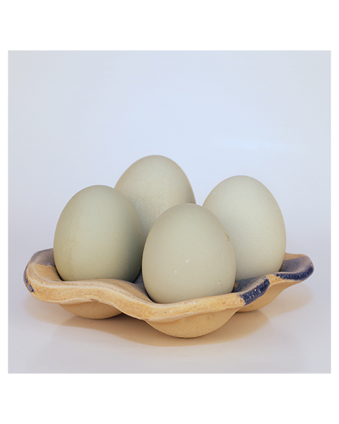 Beige Blue Egg Tray - 11 x 11,5 cm - 5 Euro