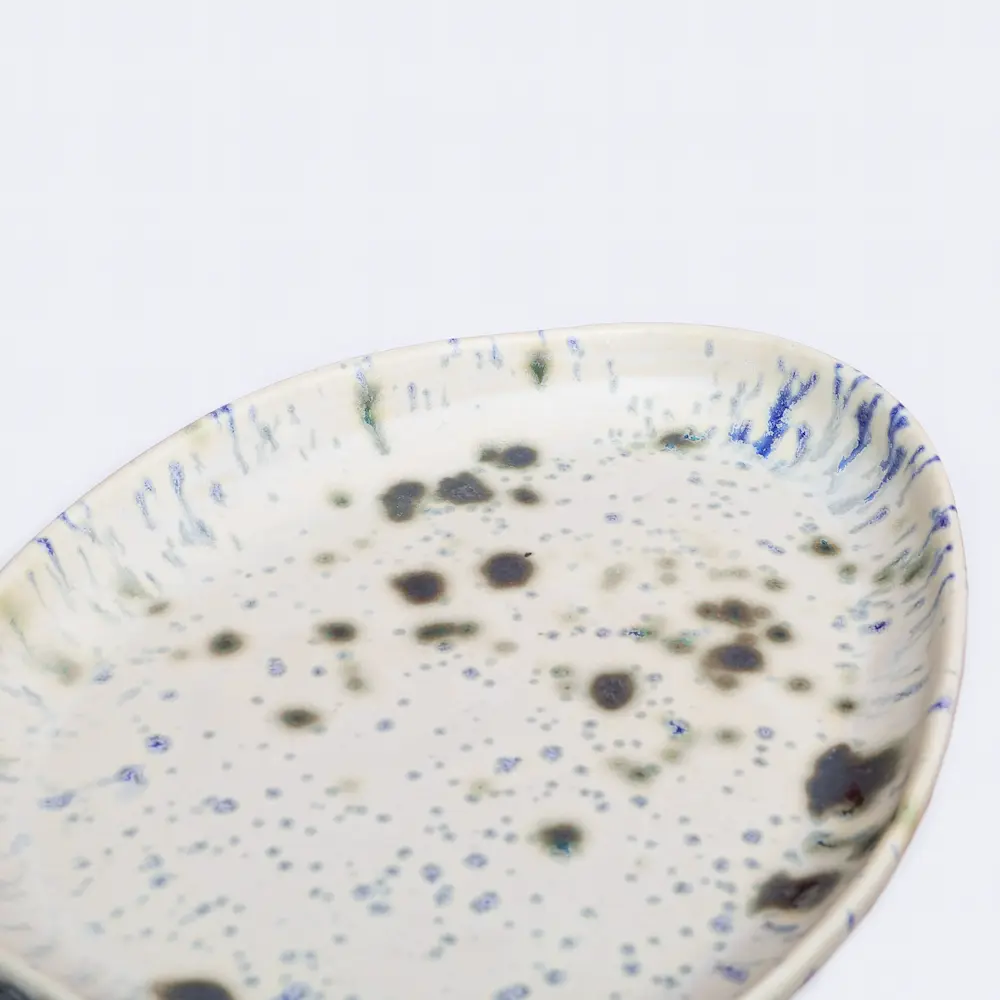 Nahaufnahme Große flache ovale Deko Schale Obst Weichporzellan Kunst Punkte Glasur creme