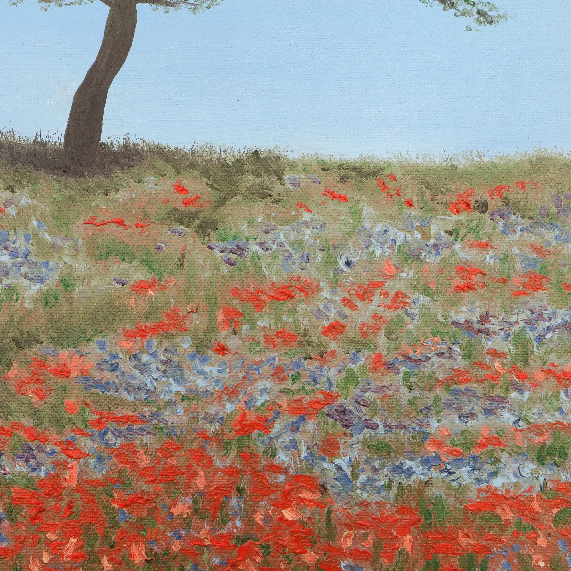Nahaufnahme klein echt Öl Gemälde Bild Landschaft Baum Wiese Feld blau rot Mohn Acker