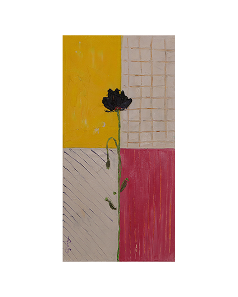 Einsame Kornblume - 60 x 30 cm - 25 Euro
