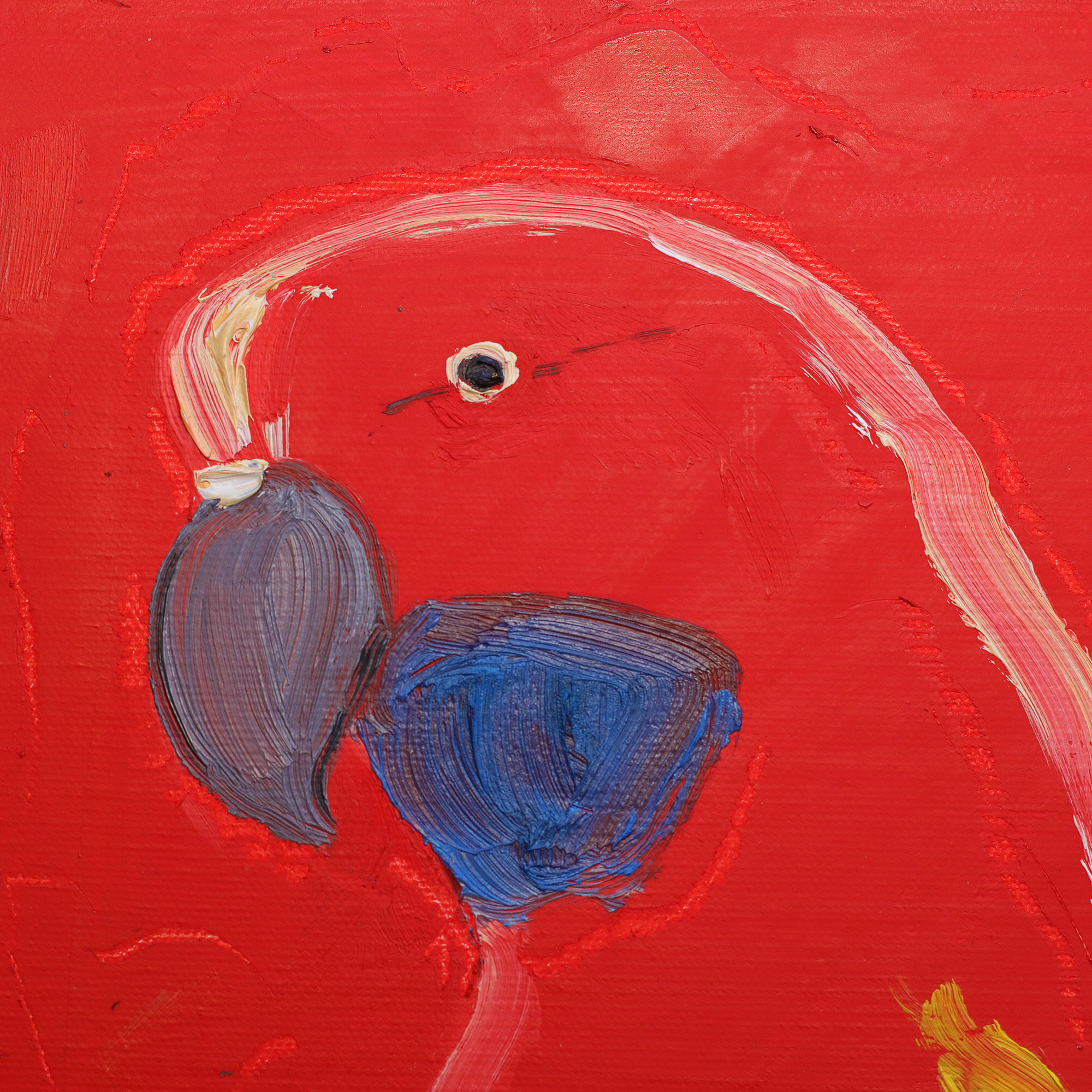 Detail Gemaelde Pennant Wellen Sittich Vogel rot pastos dick lang schmal Ara Papagei