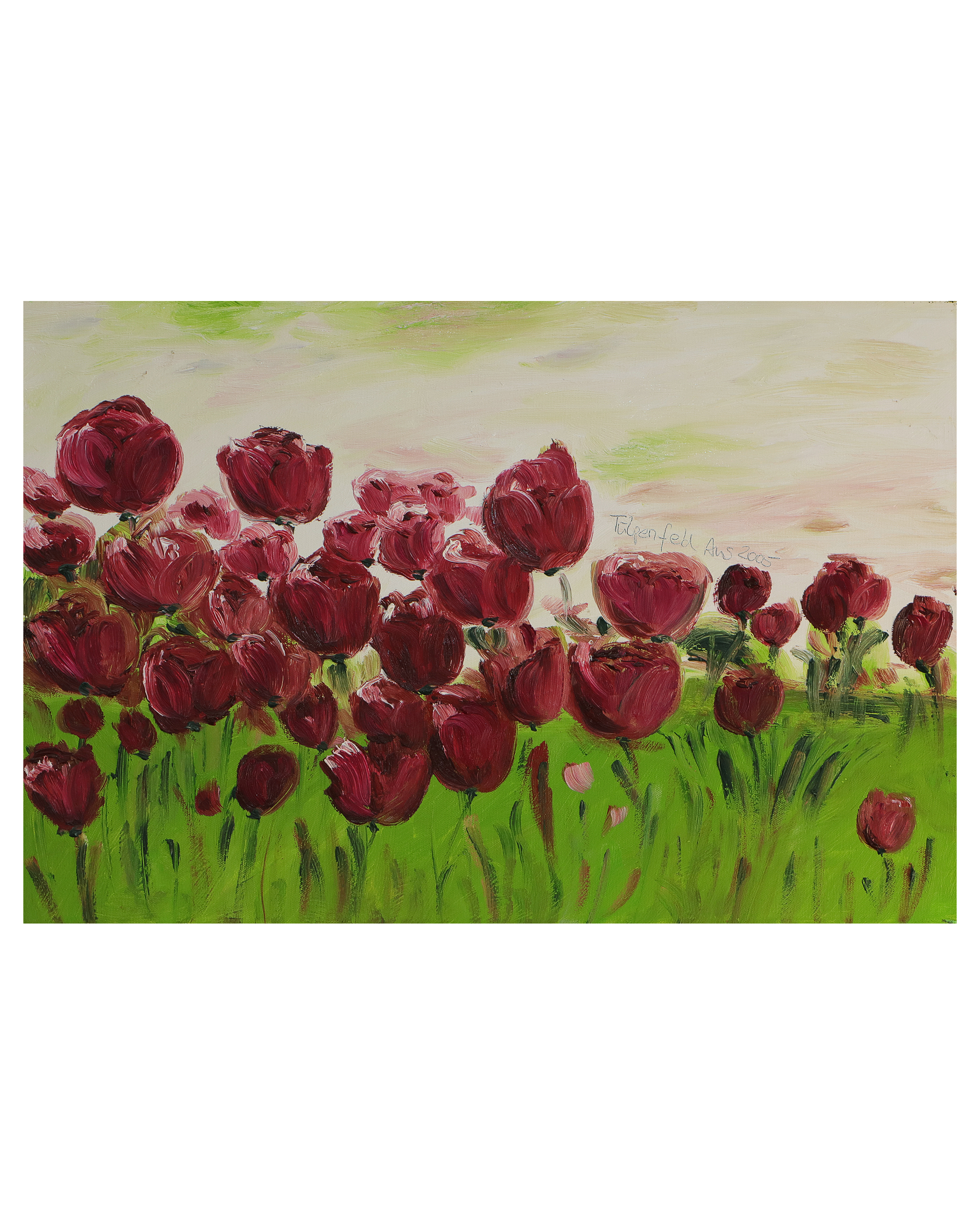 Tulpenfeld - 40 x 60 cm - 25 Euro