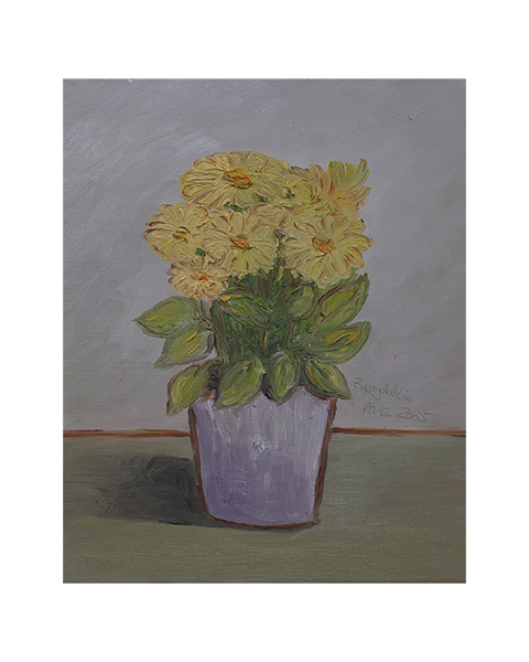 Zwergdahlie - 46 x 38 cm - 20 Euro