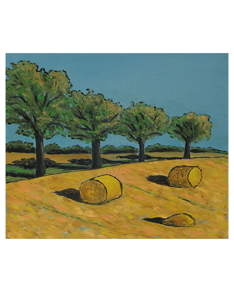 Zwei Strohballen - 50 x 60 cm - 30 Euro