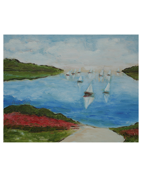 Boote vor Dinard - 40 x 50 cm - 25 Euro