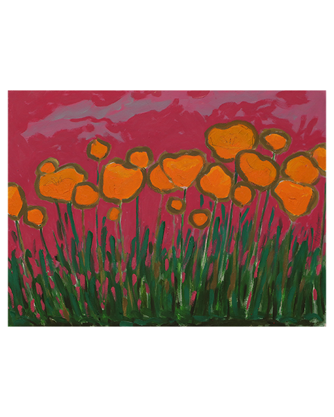 Oranger Mohn auf Pink - 60 x 80 cm - 40 Euro