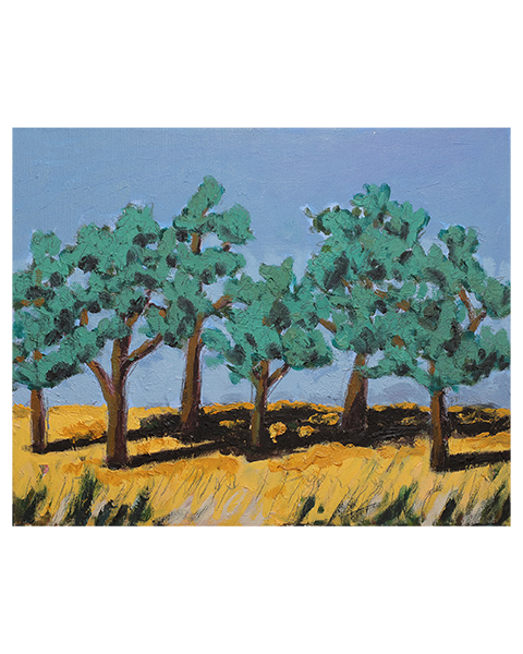 Korkeichen - 40 x 50 cm - 10 Euro