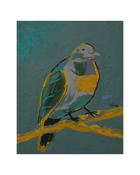 Die dicke Taube - 60 x 50 cm - 30 Euro