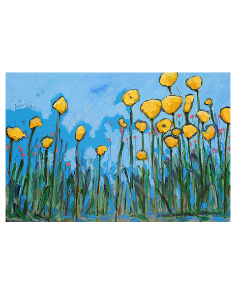 Gelber Mohn - 40 x 60 cm - 25 Euro