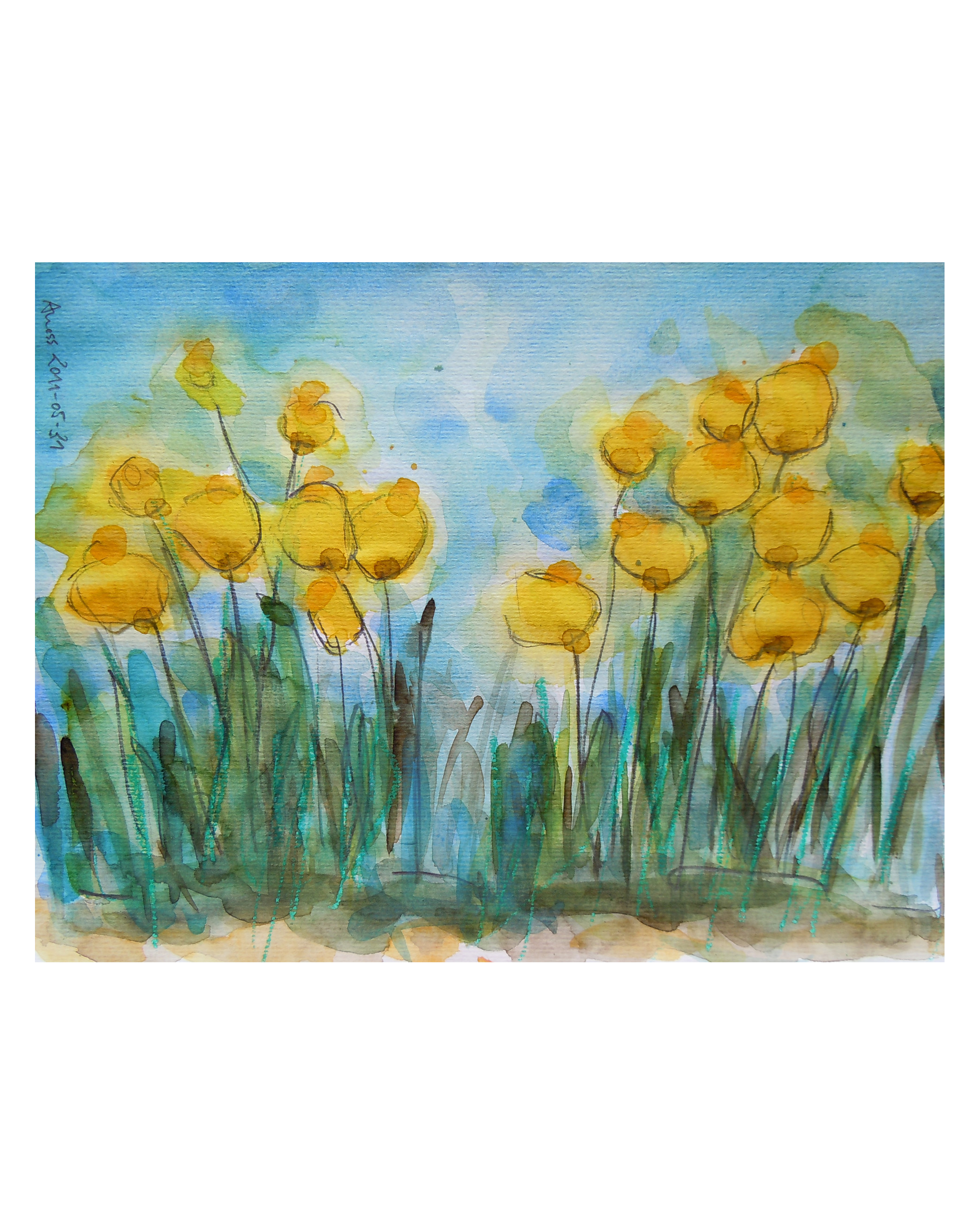 Gelber Mohn - 24 x 32 cm - 10 Euro
